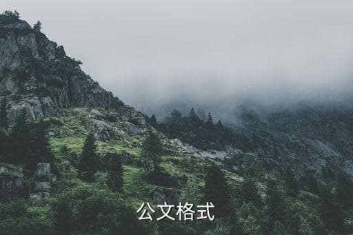 公文条款字体格式,标准文件字体格式规范