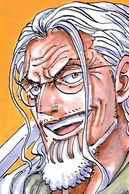 《海贼王》中的二把手图鉴：谁才是最称职的“幕后支柱”？