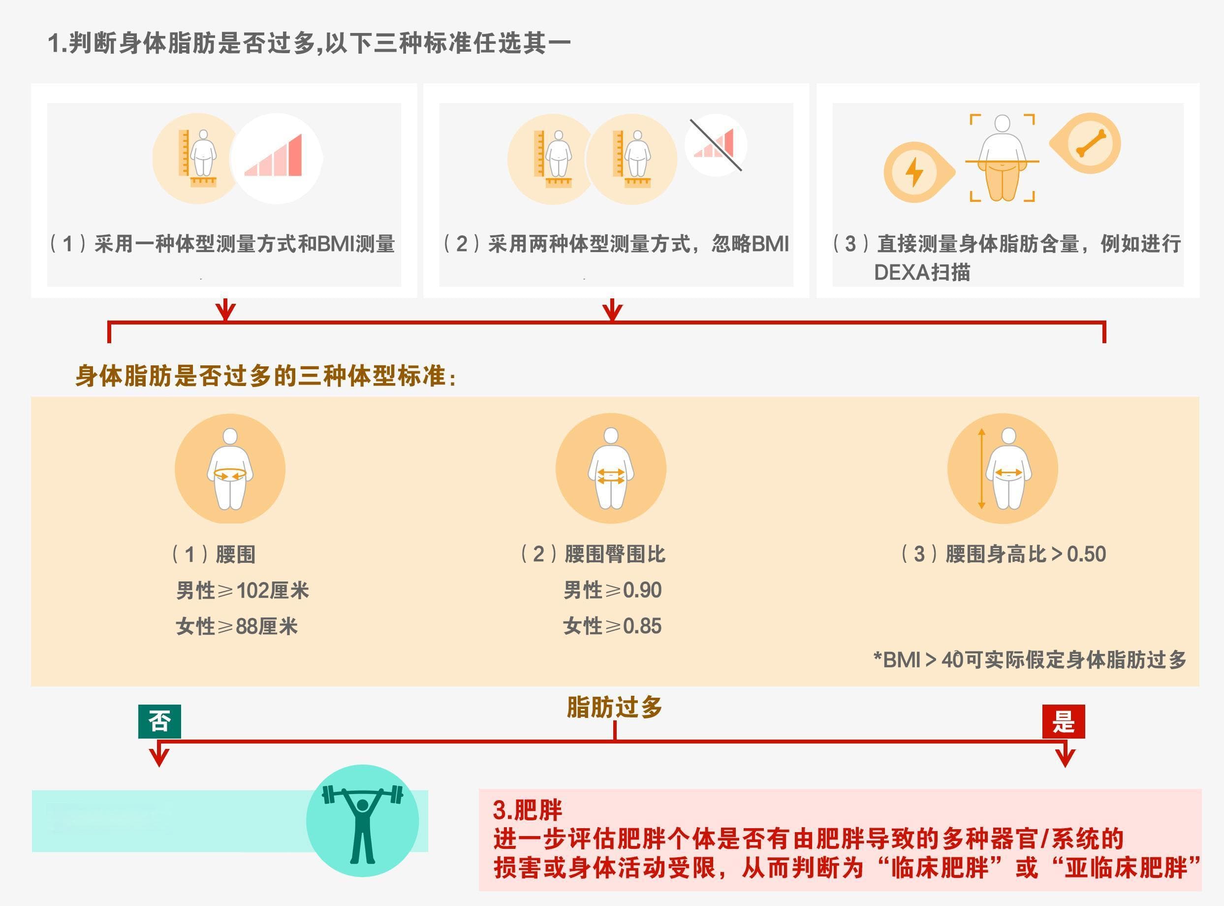 《柳叶刀》子刊发布报告提出肥胖新标准，用BMI定义肥胖过时了？