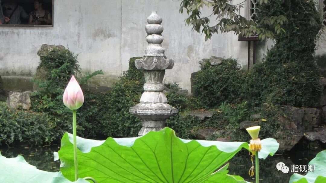 四逆散的用法和医案解析