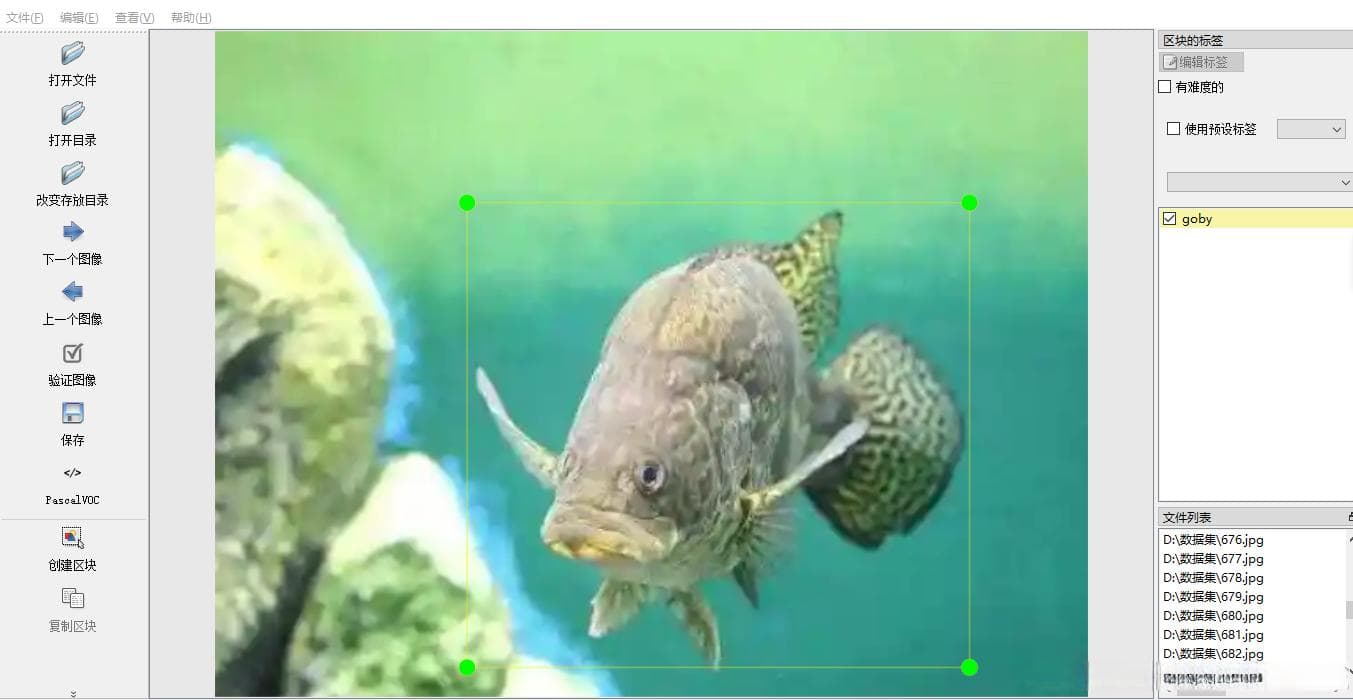 基于计算机视觉的鱼类检测系统设计与实现