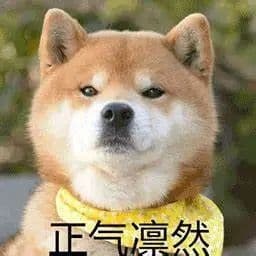 秋季花粉过敏，喷嚏连连？中医有妙招让“过敏星人”日子不再难熬