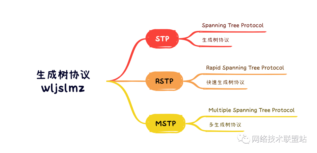 扼杀网络中的环路：STP、RSTP、MSTP