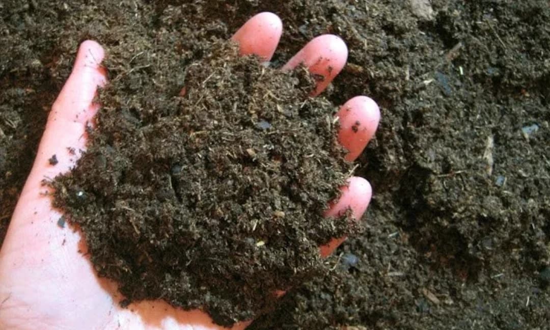 堆肥：有机废弃物的绿色处理方式