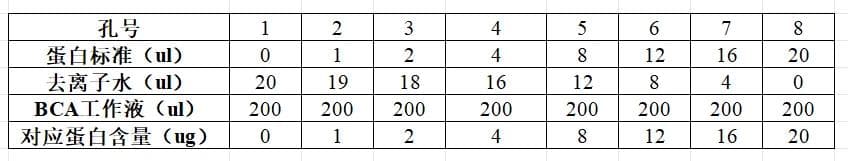 实验技巧：蛋白质浓度测定之BCA法