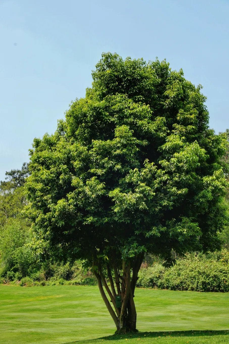 治愈系风景！走进贵州的绿野仙踪，和自然双向奔赴