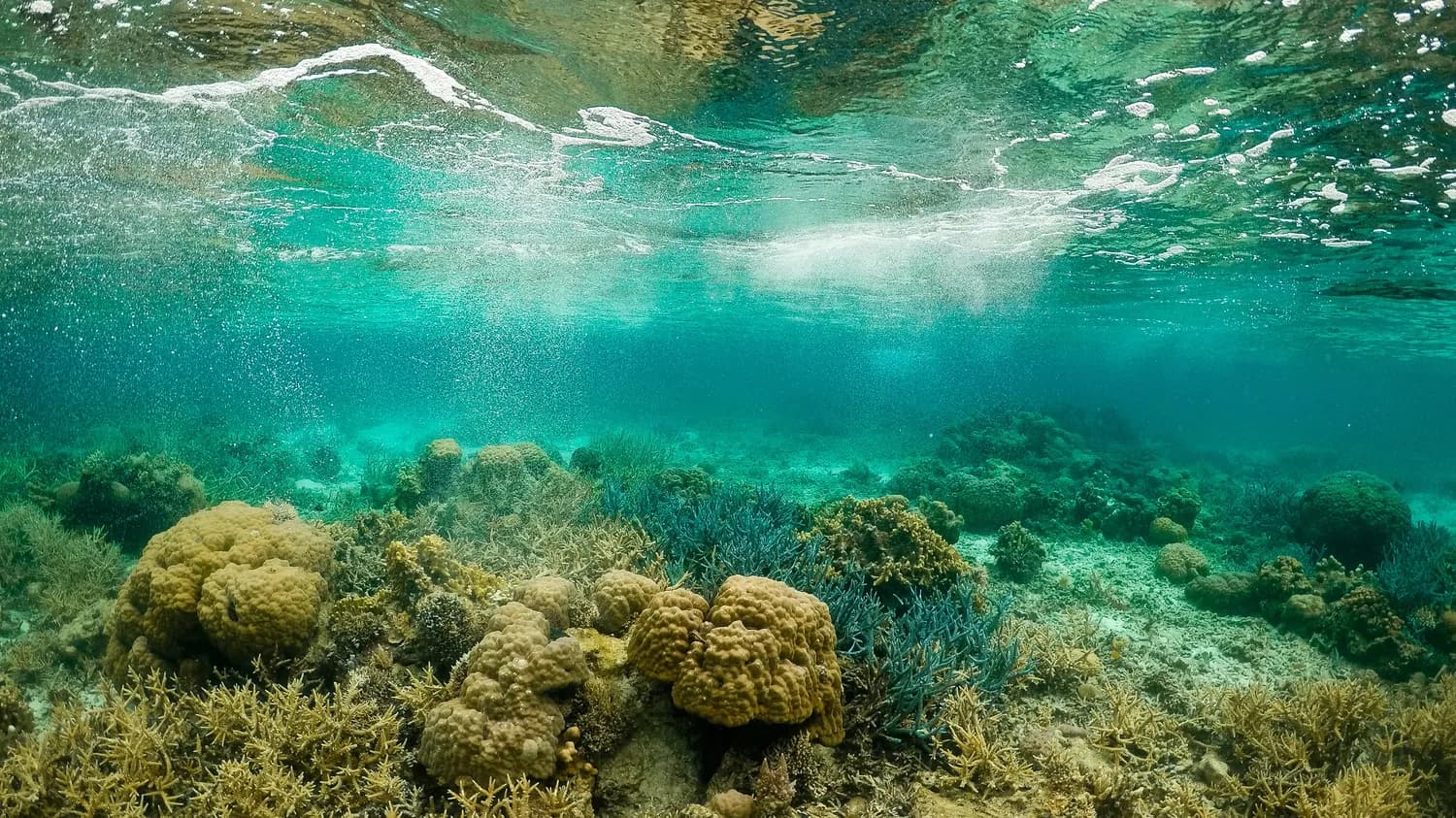 世界顶级潜水地、地质奇观、白沙滩：玩转马来西亚三大海岛
