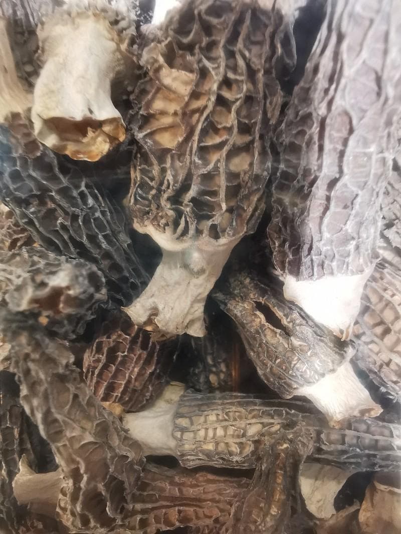 羊肚菌炖汤：三种经典搭配，八大食用禁忌