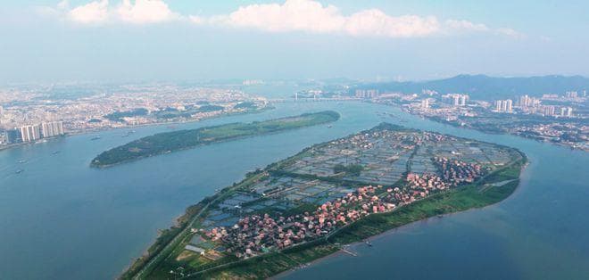 自驾1h！新年反向旅行，来南海原生态小岛，一次逛不够！