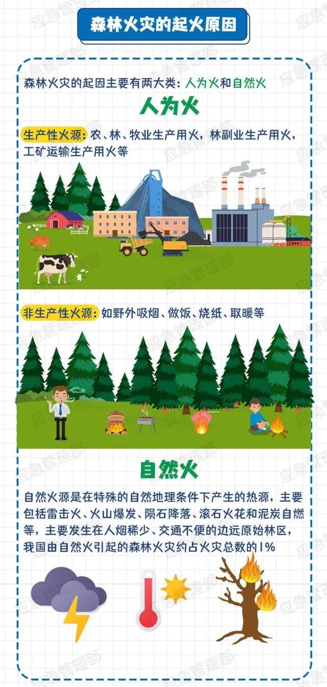 这些森林防火知识你掌握了吗？