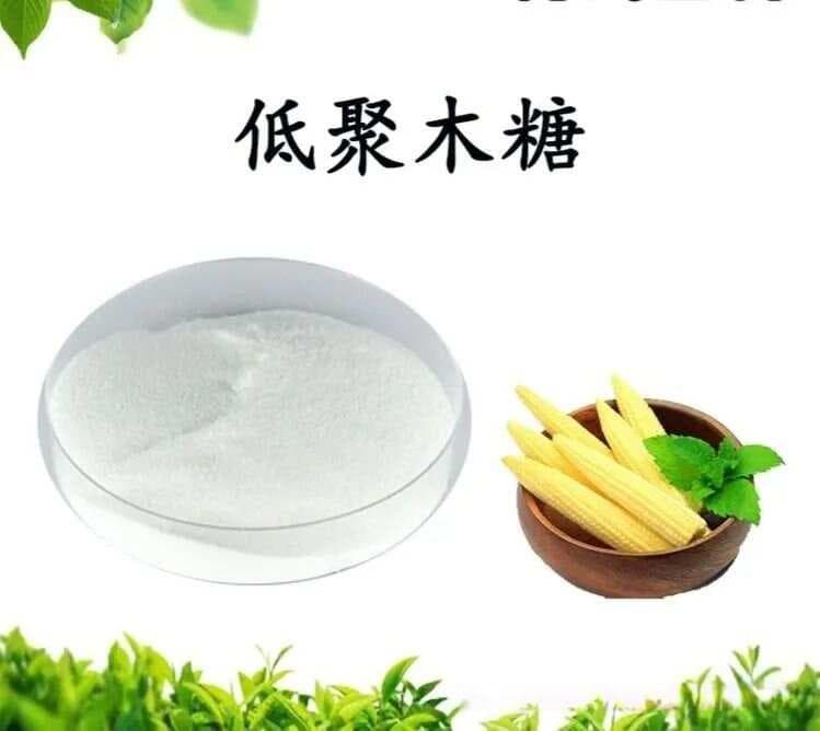 低聚木糖：肠道益生菌的超级增殖剂