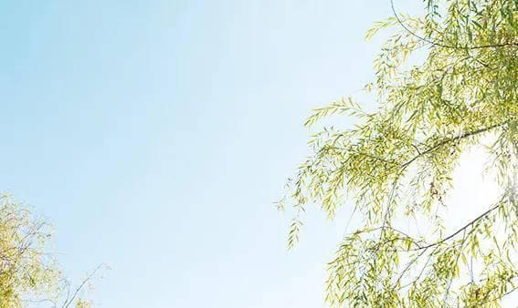 儿童鼻炎和感冒：区分方法与护理指南。