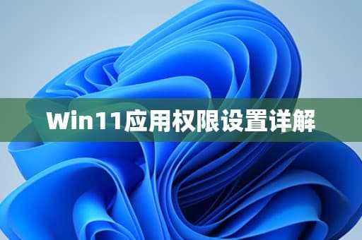 Win11应用权限设置详解