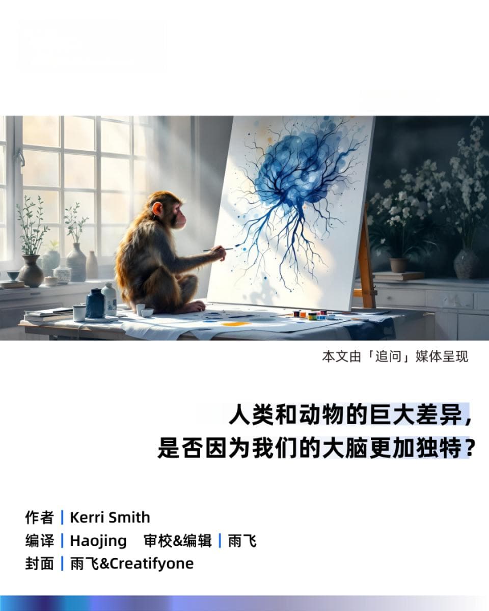 人类的七倍大脑，为何带来千倍烦恼？