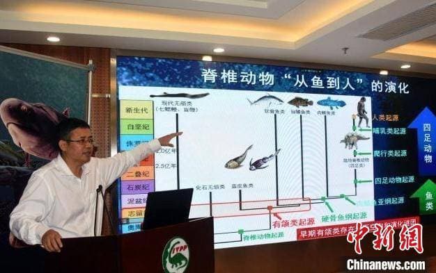 朱敏院士再获殊荣！当选瑞典皇家科学院外籍院士