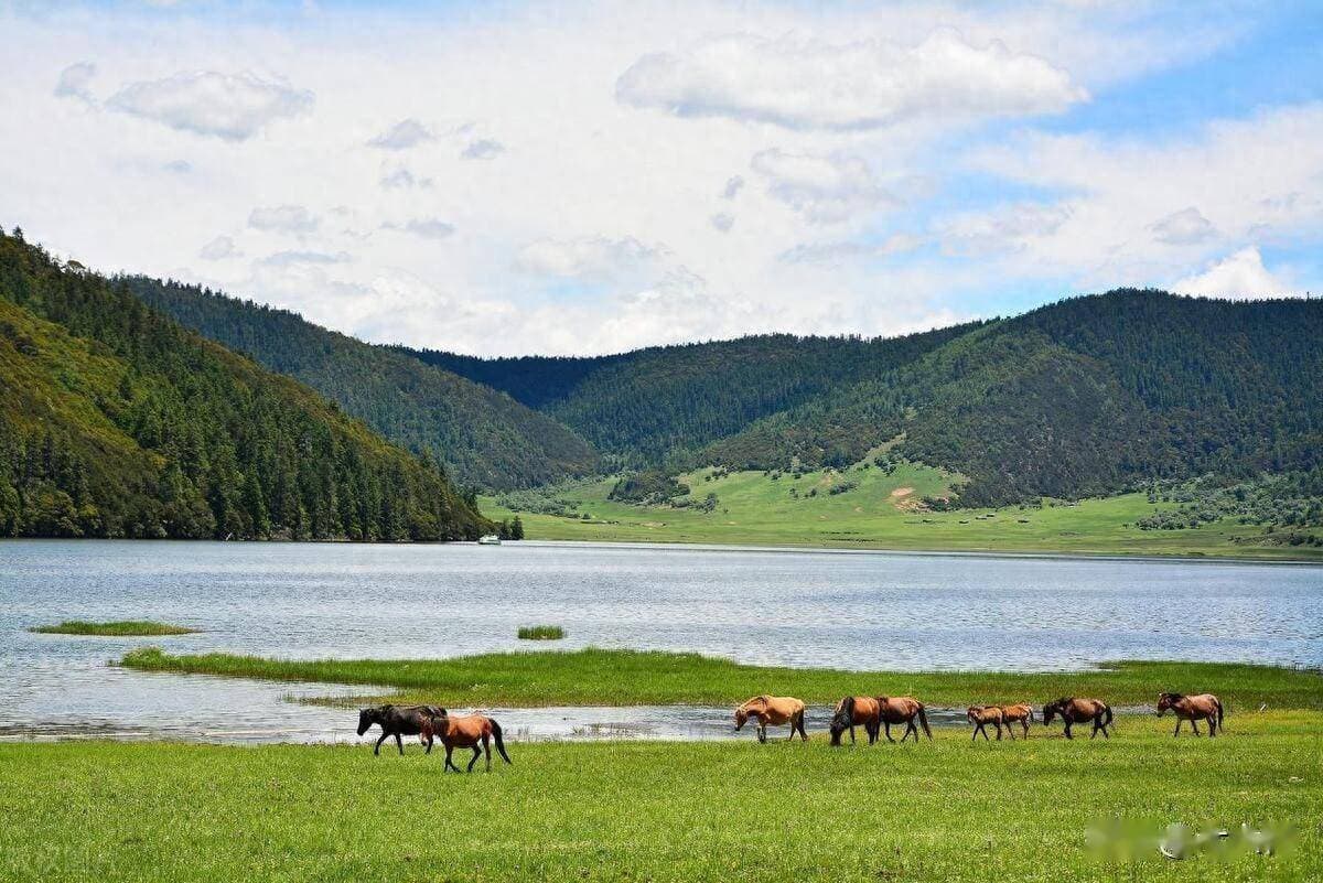 香格里拉旅游攻略|规划一次难忘的香格里拉旅行