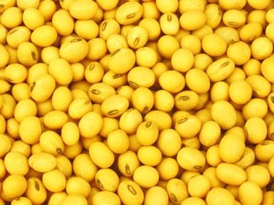 美豆价格下跌后回升的原因及影响是什么？这种影响对美豆市场有何作用？
