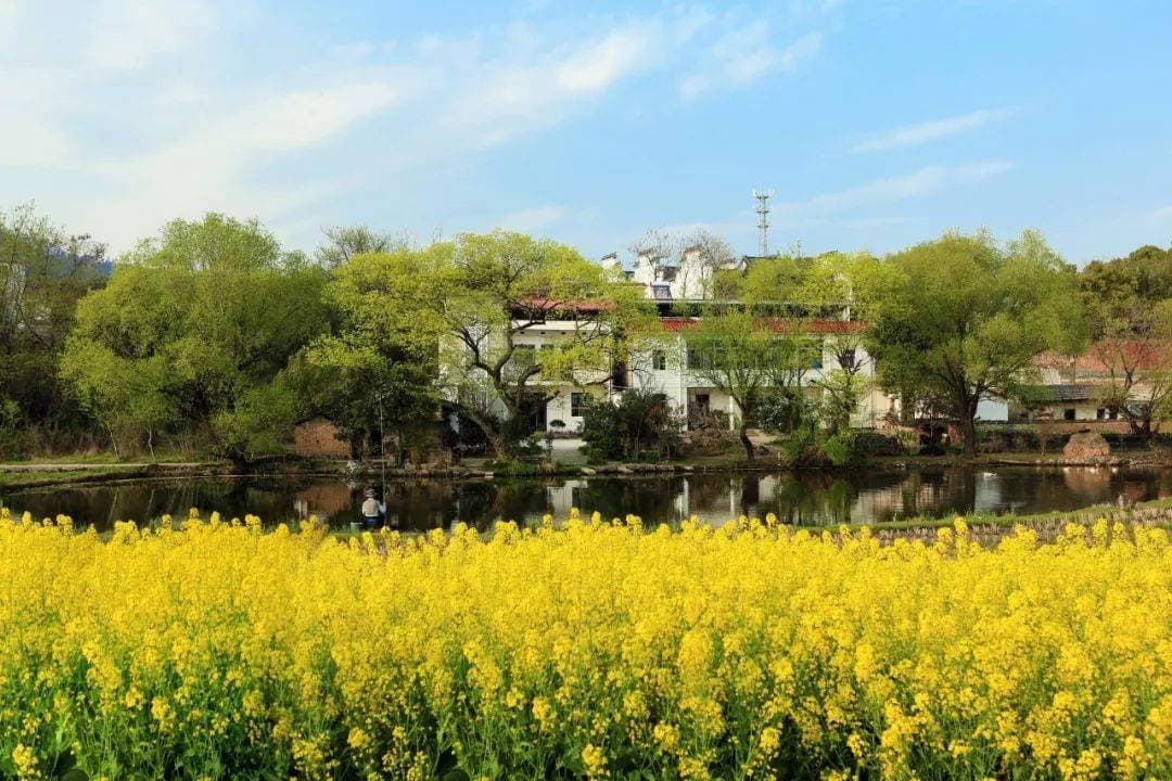 清明诗词15首：梨花风起正清明