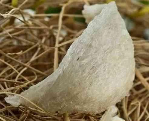 揭秘燕窝：细数燕窝的四大类型与特点