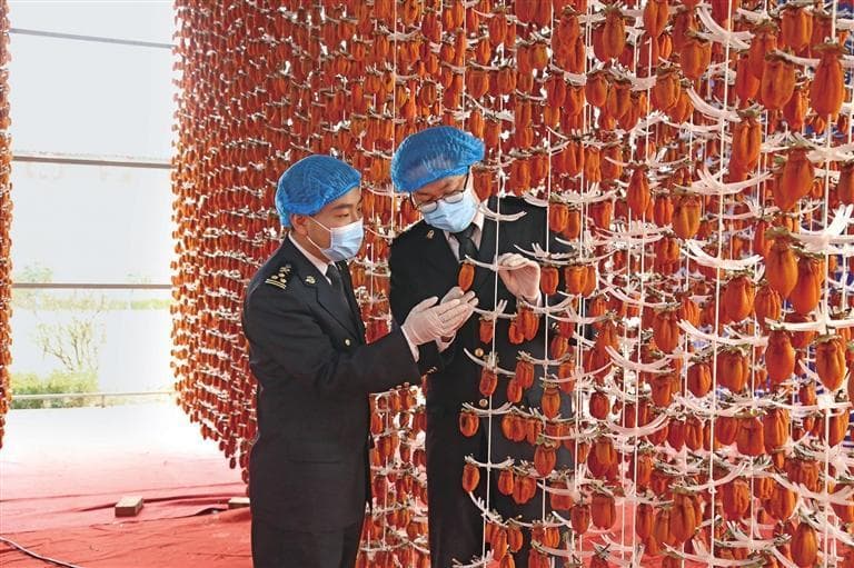 富平冰柿首次出口加拿大