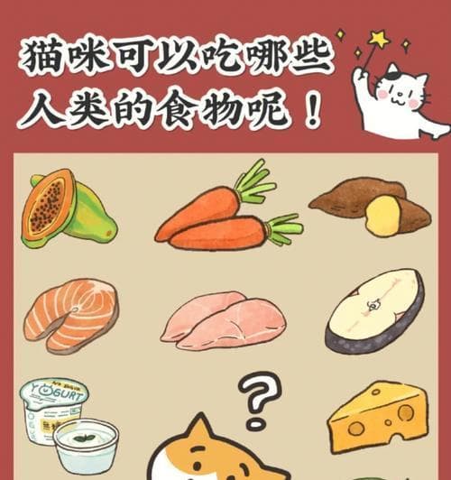 猫咪的蔬果益友（揭秘猫咪能吃的八大水果和蔬菜，关爱猫咪从小细节开始）