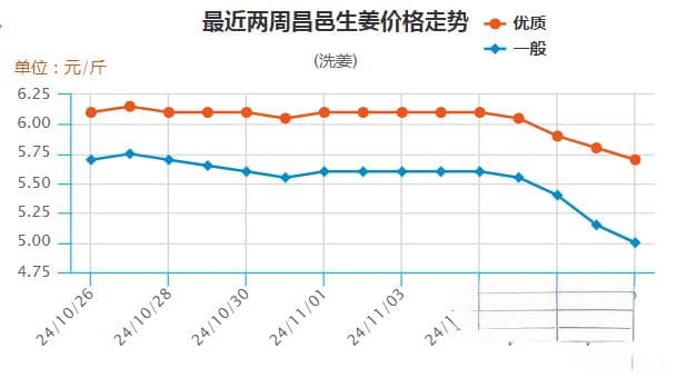 老黄姜持续回落 供求为何失衡？