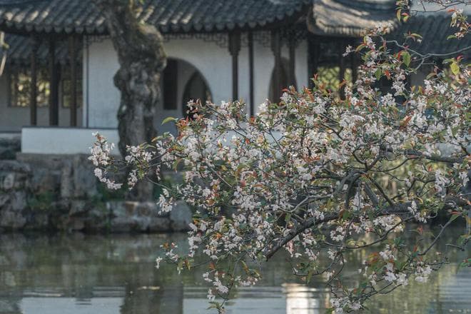 2-4月适合去的8个旅行地，接下来的三个月，一片春和景明