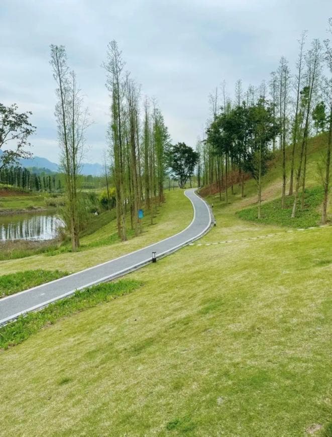 周末出发，重庆绝美露营地大揭秘：免费玩转草坪烧烤、垂钓戏水，嗨翻不重样