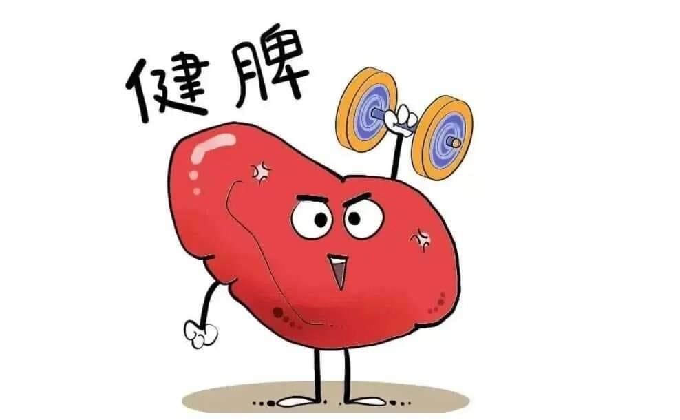 关于“脾瘅”，糖友知多少