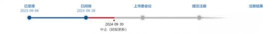 IPO审核“中止”：正常流程还是上市前的小插曲？