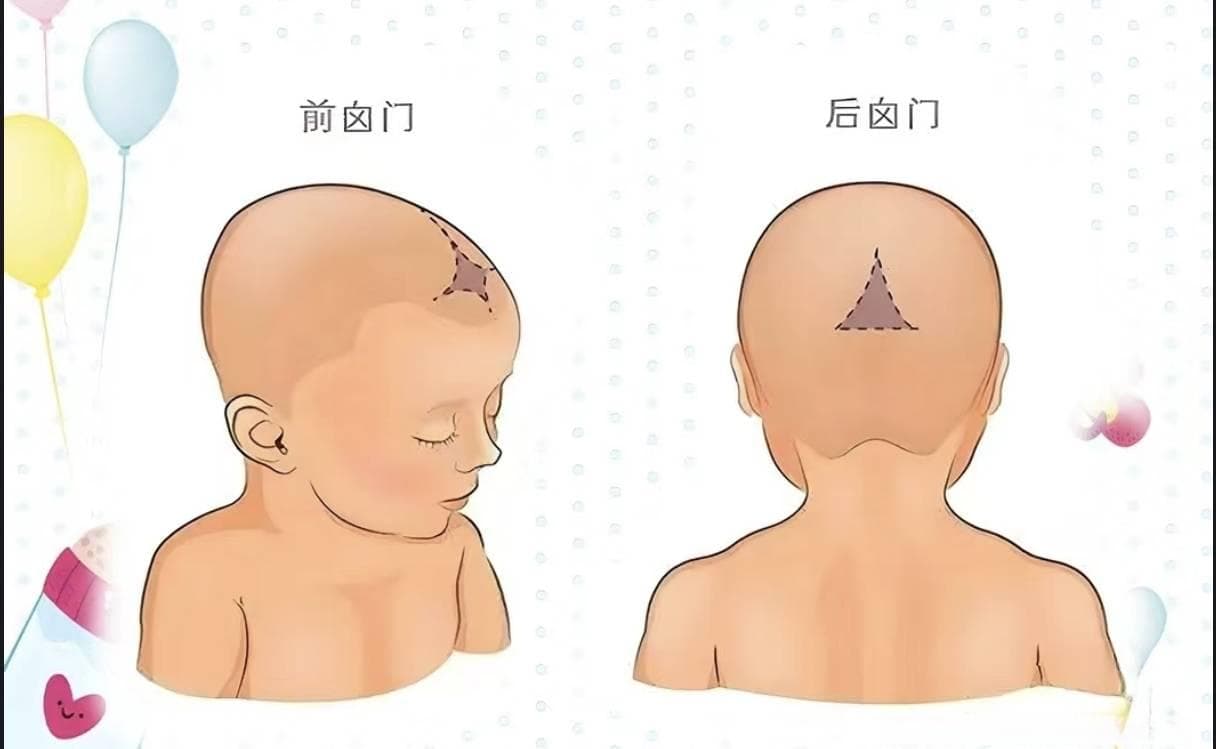 一起探索宝宝小天灵盖——囟门的秘密