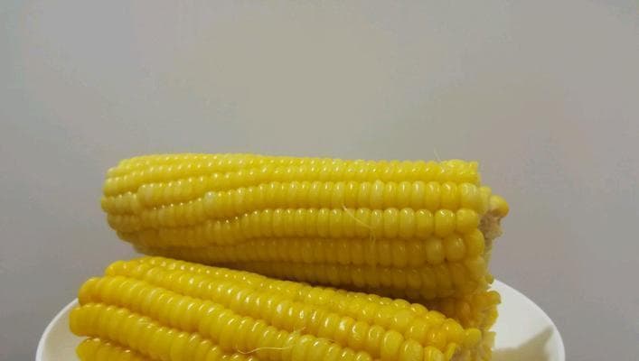 高压锅煮玉米的最佳时间（如何利用高压锅煮出完美的熟透玉米）