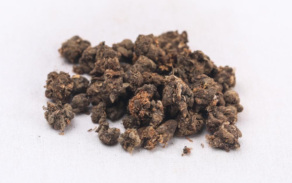 猫爪草的功效与应用
