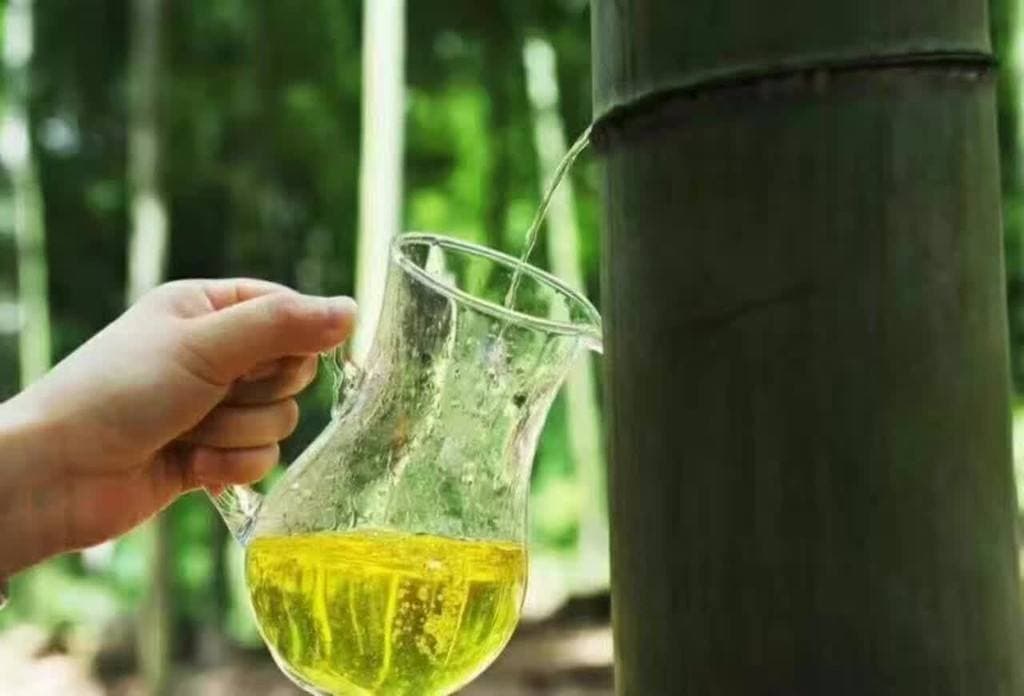 竹筒酒的制作方法及配方（竹筒酒是怎么做的？）