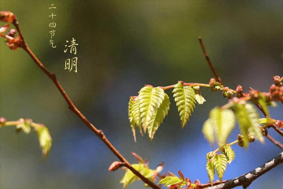 “廿六3不做，做了福气散”：清明节的习俗与禁忌