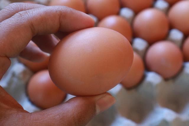 毛蛋有营养吗？专家解析其营养价值与食用风险