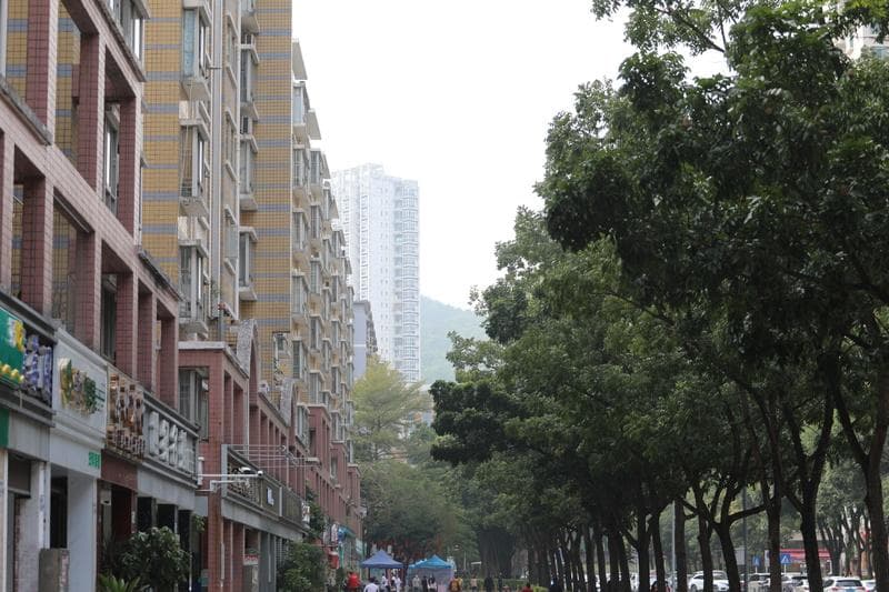 小区环境卫生差向哪个部门投诉？如何投诉？