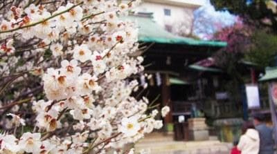 东京什么时候最适合旅行？东京一整年气候指南及穿搭建议
