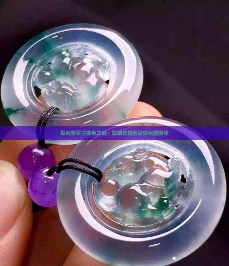 探究紫罗兰变色之谜：影响花瓣色彩变化的因素