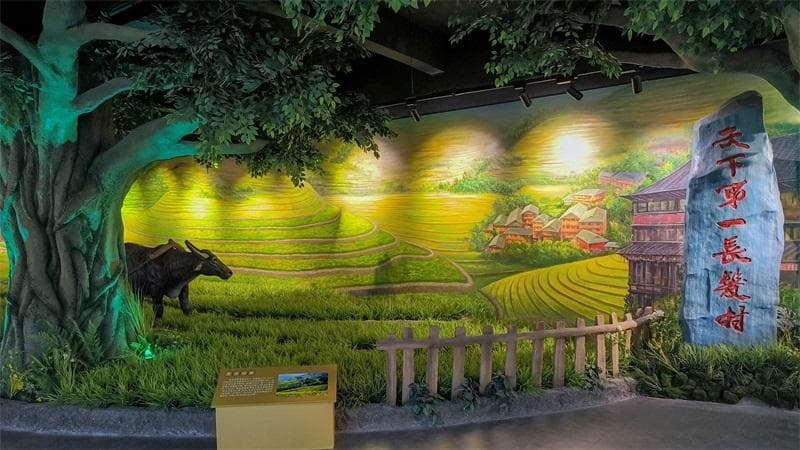 如何利用展厅设计提供企业的品牌传播和宣传功能？