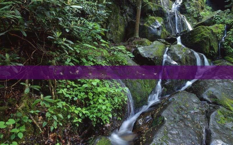 海南中线旅游公路：最新消息 热门景点 线路 自驾游攻略
