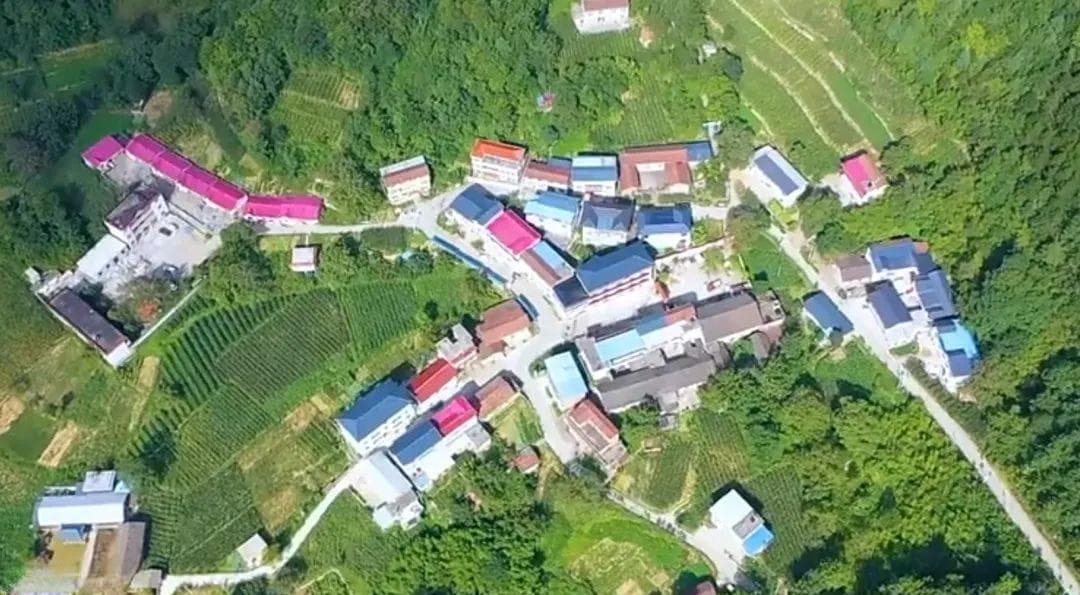 陕西旬阳：以林兴旅，谱写生态旅游新画卷