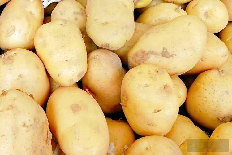 炒土豆丝可以隔夜吗？保存和加热技巧全攻略