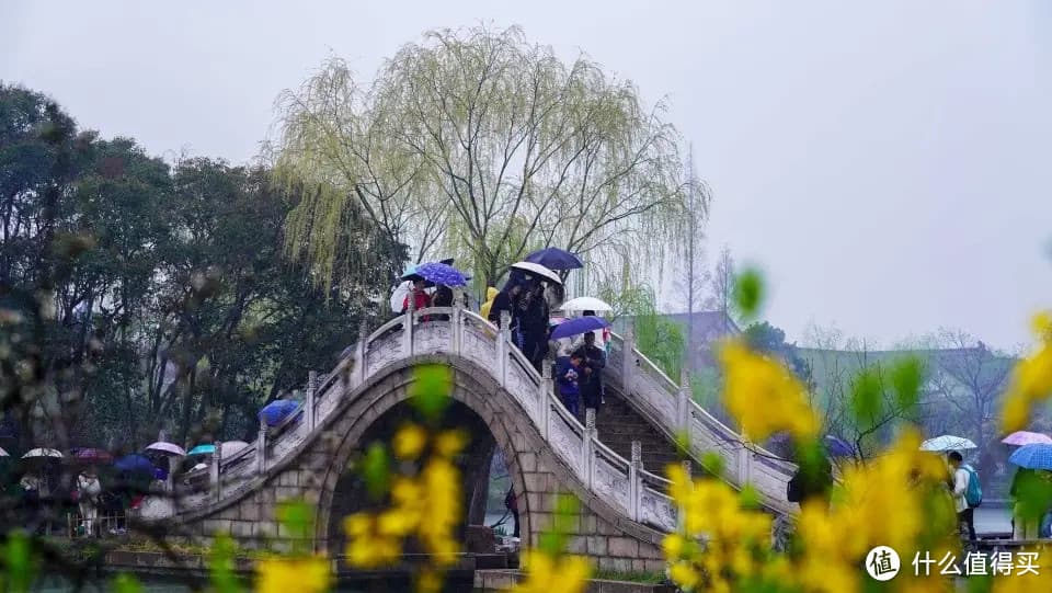 春日西湖别样美：杏花秘境探索