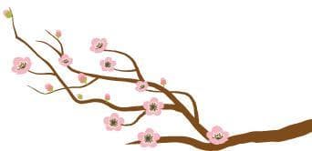 香河历史【宗教活动场所（寺庙）】