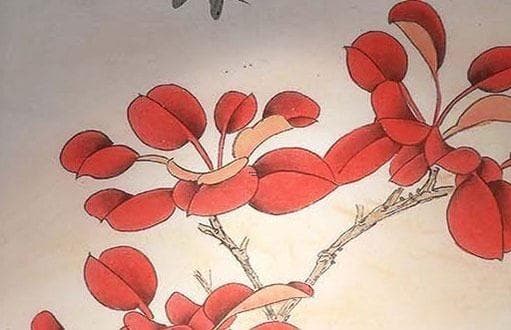 貔貅的外形特征及其辨别方法 如何识别真正的貔貅