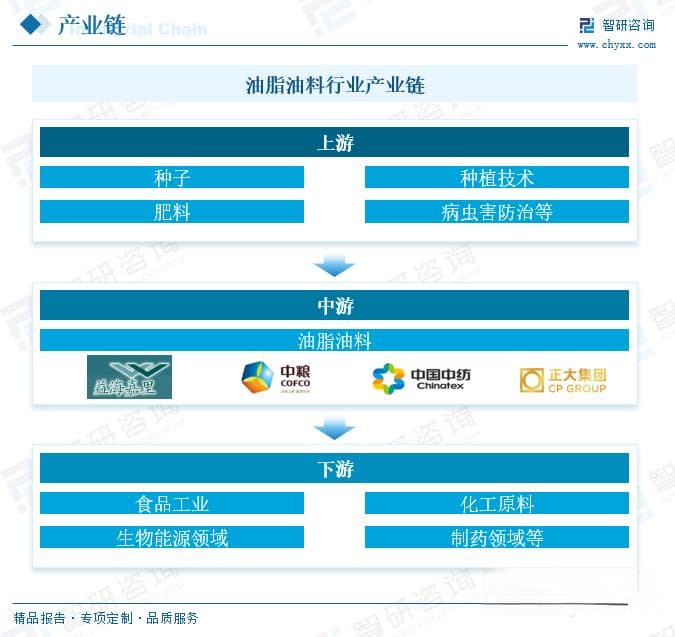 2025年中国油脂油料行业产量、价格及发展趋势分析