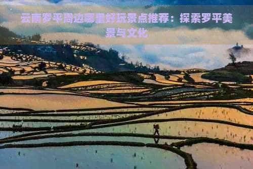 云南罗平周边景点全攻略：自然人文与户外活动完美融合