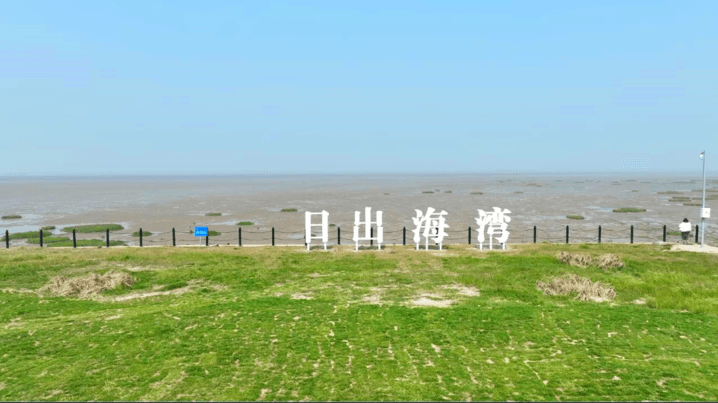 探访“世遗”秘境：大丰黄海野鹿荡奇幻之旅