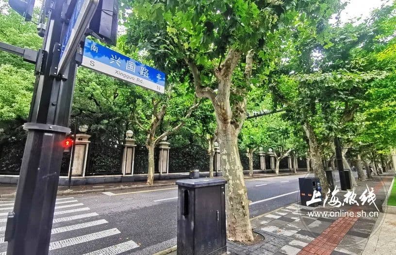 老上海口中的“上只角”？幽静梧桐树，闲逛兴国路，带你打卡这些豪华别墅群！